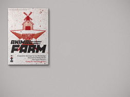 丹尼尔·格雷 平面设计领域的美国创新力量