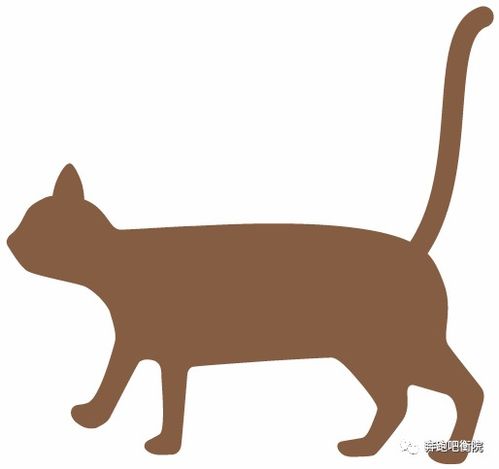 平面设计 视觉语言的魔法与艺术