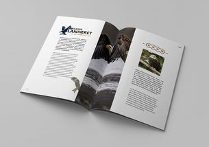 平面书装设计的艺术与实践——以站酷ID 915694981为例